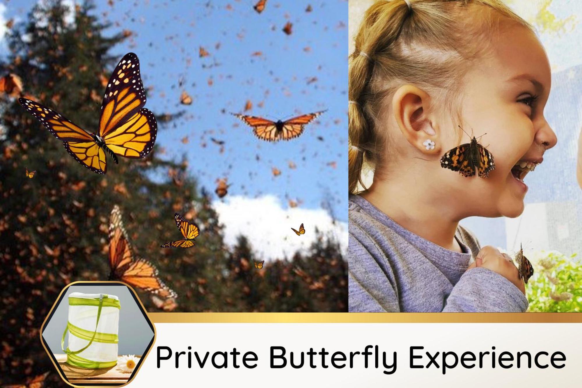 Butterfly Themed Kings Apartment With Private Garage & Access To Lux Hot Tub, Bbq & Gym 사우스요르단 외부 사진